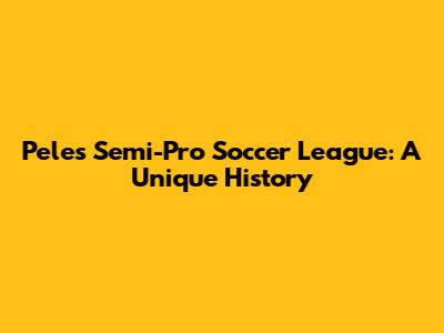 Pele's Semi-Pro Soccer League: A Unique History