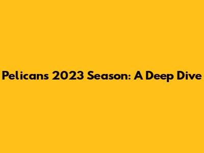 Pelicans 2023 Season: A Deep Dive