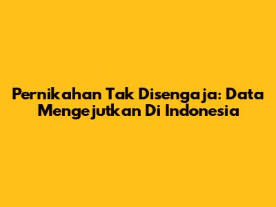Pernikahan Tak Disengaja: Data Mengejutkan Di Indonesia