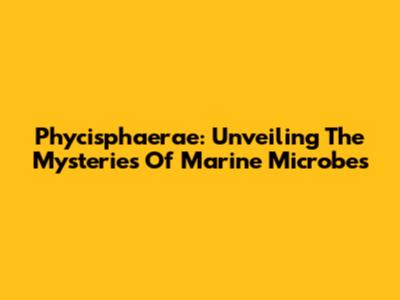 Phycisphaerae: Unveiling The Mysteries Of Marine Microbes