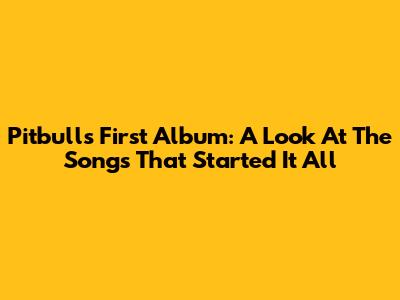Pitbull's First Album: A Look At The Songs That Started It All