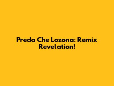 Preda Che L'ozona: Remix Revelation!