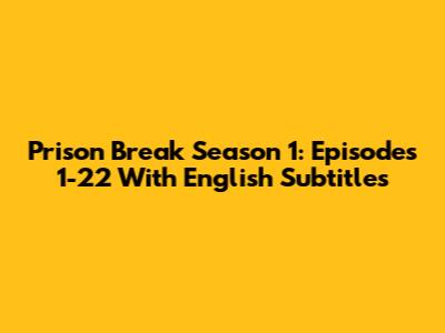 Prison Break Season 1: Episodes 1-22 With English Subtitles