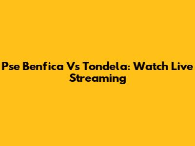 Pse Benfica Vs Tondela: Watch Live Streaming