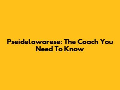 Pseidelawarese: The Coach You Need To Know