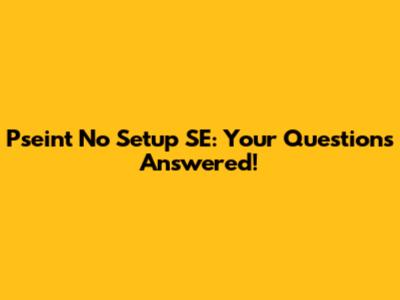 Pseint No Setup SE: Your Questions Answered!