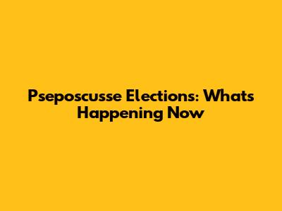 Pseposcusse Elections: What's Happening Now
