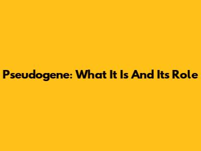Pseudogene: What It Is And Its Role