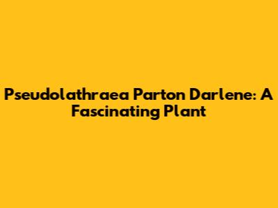 Pseudolathraea Parton Darlene: A Fascinating Plant