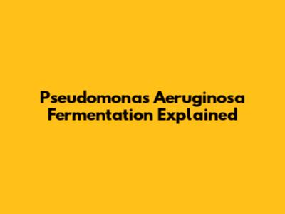 Pseudomonas Aeruginosa Fermentation Explained