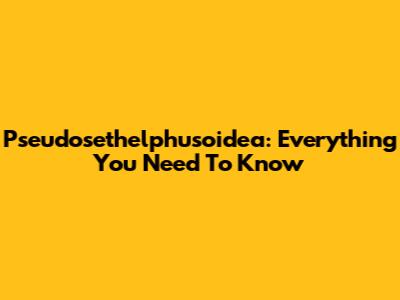 Pseudosethelphusoidea: Everything You Need To Know
