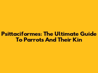 Psittaciformes: The Ultimate Guide To Parrots And Their Kin