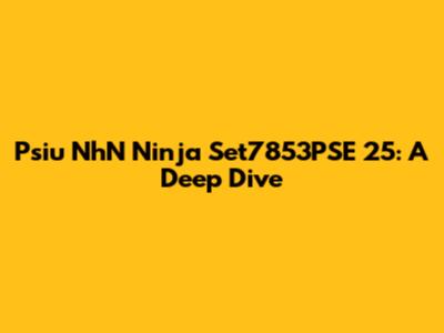 Psiu NhN Ninja Set7853PSE 25: A Deep Dive