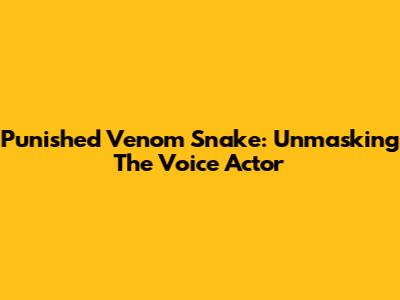 Punished Venom Snake: Unmasking The Voice Actor
