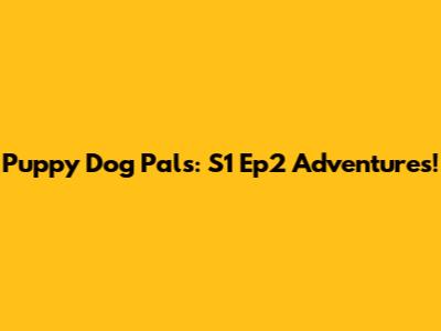 Puppy Dog Pals: S1 Ep2 Adventures!