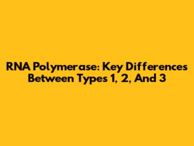 RNA Polymerase: Key Differences Between Types 1, 2, And 3