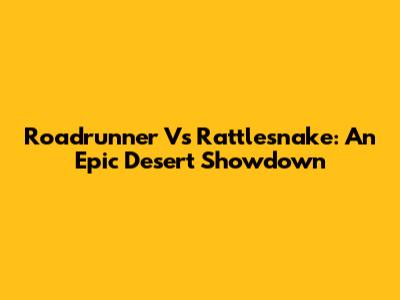 Roadrunner Vs Rattlesnake: An Epic Desert Showdown