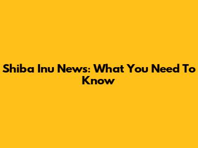 Shiba Inu News: What You Need To Know