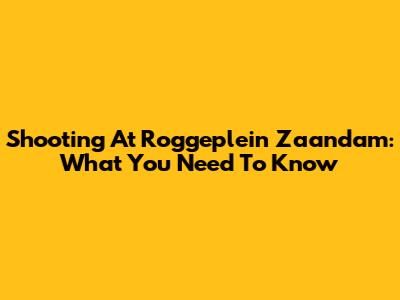 Shooting At Roggeplein Zaandam: What You Need To Know