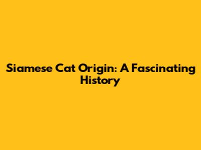 Siamese Cat Origin: A Fascinating History