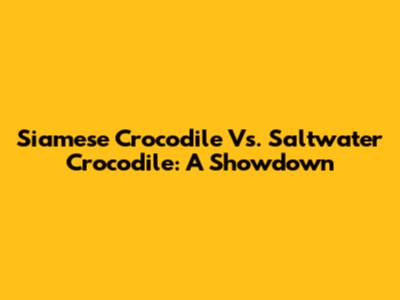 Siamese Crocodile Vs. Saltwater Crocodile: A Showdown