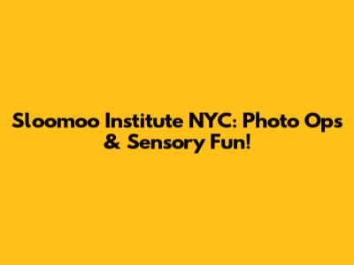 Sloomoo Institute NYC: Photo Ops & Sensory Fun!