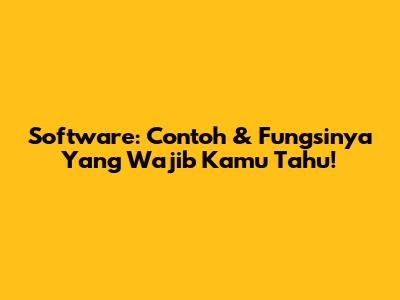 Software: Contoh & Fungsinya Yang Wajib Kamu Tahu!