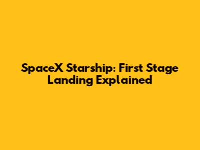 SpaceX Starship: First Stage Landing Explained