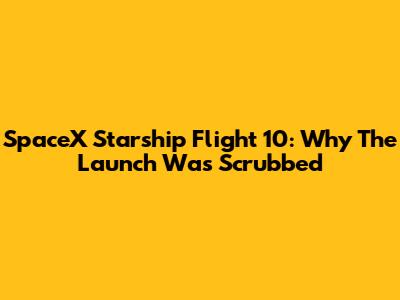 SpaceX Starship Flight 10: Why The Launch Was Scrubbed
