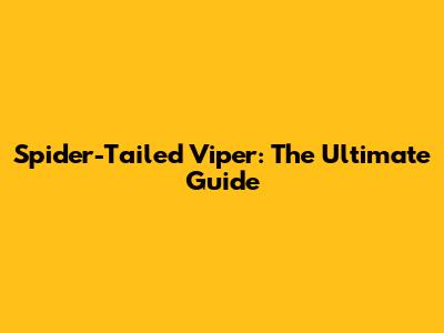 Spider-Tailed Viper: The Ultimate Guide