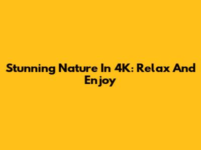 Stunning Nature In 4K: Relax And Enjoy