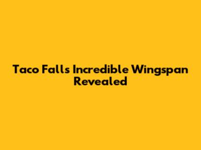Taco Fall's Incredible Wingspan Revealed