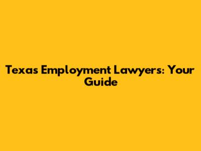 Texas Employment Lawyers: Your Guide