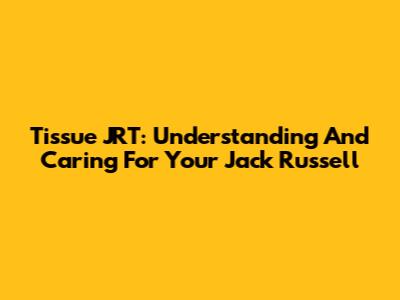 Tissue JRT: Understanding And Caring For Your Jack Russell