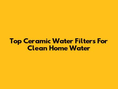Top Ceramic Water Filters For Clean Home Water