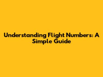 Understanding Flight Numbers: A Simple Guide