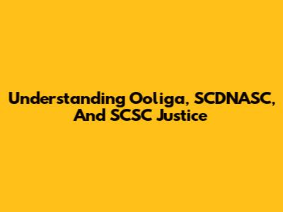 Understanding Ooliga, SCDNASC, And SCSC Justice