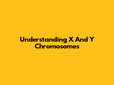 Understanding X And Y Chromosomes