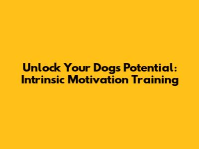 Unlock Your Dog's Potential: Intrinsic Motivation Training