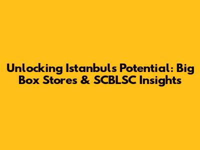 Unlocking Istanbul's Potential: Big Box Stores & SCBLSC Insights