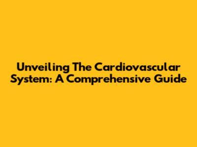 Unveiling The Cardiovascular System: A Comprehensive Guide