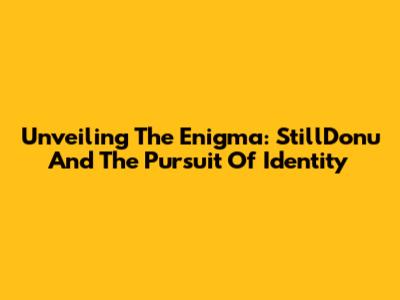 Unveiling The Enigma: StillDonu And The Pursuit Of Identity