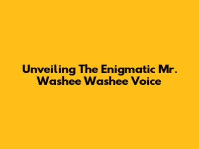 Unveiling The Enigmatic Mr. Washee Washee Voice