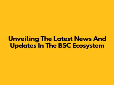 Unveiling The Latest News And Updates In The BSC Ecosystem