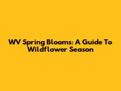 WV Spring Blooms: A Guide To Wildflower Season