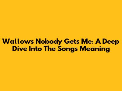 Wallows' 'Nobody Gets Me': A Deep Dive Into The Song's Meaning