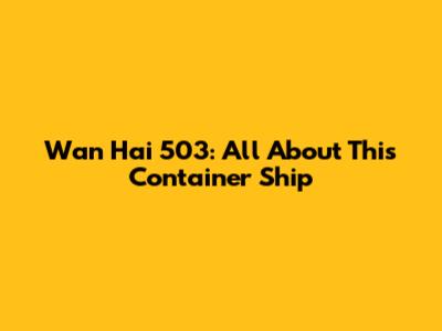 Wan Hai 503: All About This Container Ship