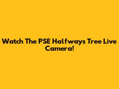 Watch The PSE Halfways Tree Live Camera!