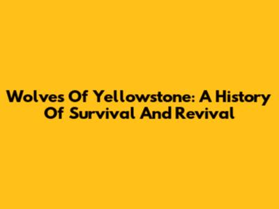 Wolves Of Yellowstone: A History Of Survival And Revival