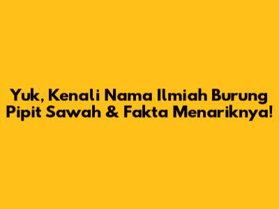 Yuk, Kenali Nama Ilmiah Burung Pipit Sawah & Fakta Menariknya!